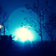 Illustration for article titled What caused this electrical substation to explode in Manhattan last night?